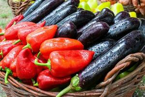 aubergine et poivrons combiné ensemble. rouge et vert poivrons photo