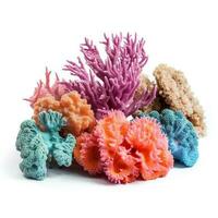 magnifique coloré coraux, isolé sur blanc Contexte. sous-marin, Marin vie. arc en ciel couleurs. génératif ai. photo