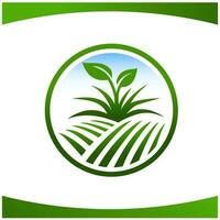 ferme champ plante herbe feuilles logo photo