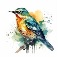 aquarelle illustration de une oiseau. simple, forêt, mignonne oiseau, moineau. pour création affiches, autocollants, cartes postales, impressions, sublimations. ai généré photo