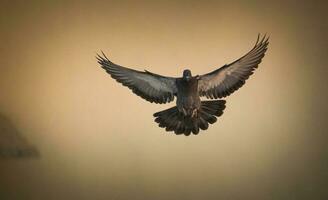 peu profond concentrer photo de marron Aigle en volant