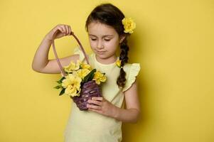 mignonne peu fille avec Rose fleurs dans coiffure, en portant violet osier panier de Frais Jaune des roses, isolé sur Jaune photo