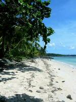 blanc le sable plage dans Père Noël fe bantayan île cebu philippines photo