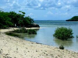 blanc le sable plage dans Père Noël fe bantayan île cebu philippines photo