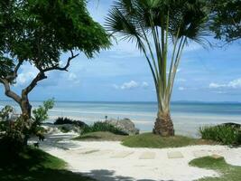 blanc le sable plage dans Père Noël fe bantayan île cebu philippines photo