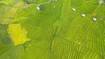 vue aérienne du paysage de rizières en terrasses vertes motif différent au matin dans le nord de la thaïlande