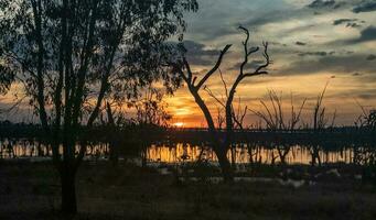 Winton marécages, victoria, Australie photo