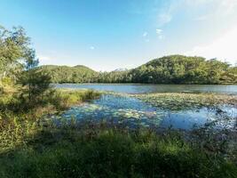 irvinebank, Queensland, Australie photo