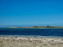 manchot île, occidental Australie photo