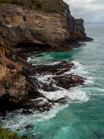 tairoa tête dans Nouveau zélande photo