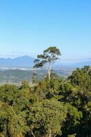 panoramique vues de cairns, Australie photo