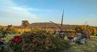 outback victoria, Australie photo