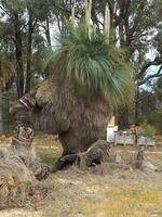 outback victoria, Australie photo