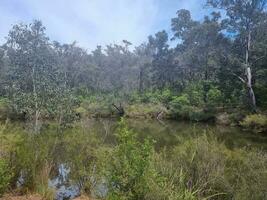 australien outback région sauvage photo