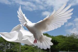 une blanc Colombe est prise désactivé. liberté concept et international journée de paix. génératif ai photo