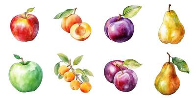 ensemble de aquarelle des fruits isolé sur blanc Contexte pomme, poire, prune, abricot. génératif ai photo