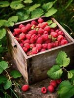 mûr framboise dans une en bois boîte sur une Contexte de le jardin. espace pour texte, vertical, maquette, génératif ai photo