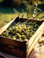 mûr Olives dans une en bois boîte sur une Contexte de le jardin. espace pour texte, vertical, maquette, génératif ai photo