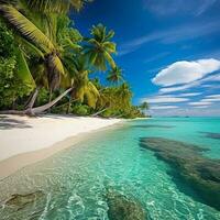 beau coucher de soleil lumineux sur une plage paradisiaque tropicale photo