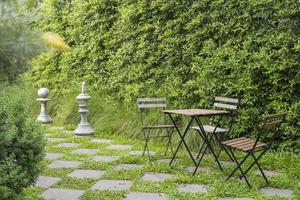 jardin vert anglais photo