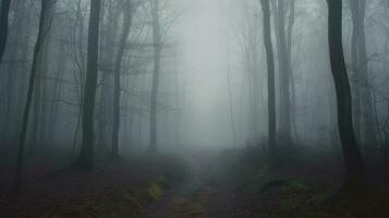 le sinistre silence de une couvert de brouillard forêt photo