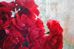bouquet de roses rouges sur le fond de la fenêtre photo