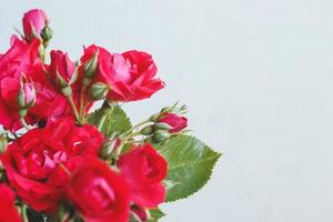 bouquet de roses rouges photo