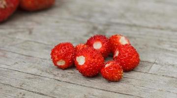 fraises fraîches du jardin fruits sauvages crus