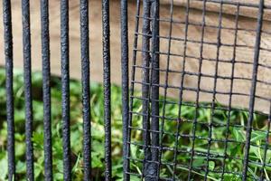 clôture en fer avec texture rouille photo