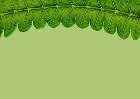 concept art design d'arrière-plan minimal laisse monstre bleu tropical et laisse dans un design de feuilles tropicales d'été tendance dégradé audacieux vibrant photo