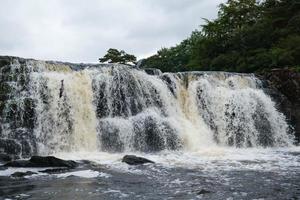 Saumon sautant à Aasleagh Falls Mayo Irlande photo