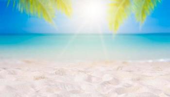 vacances d'été plage de sable blanc avec un espace pour le texte feuilles de noix de coco cadre arrière vue mer sol énergique