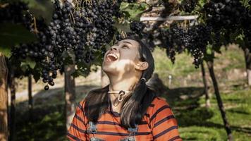 Les jardiniers heureux de jeune femme ont ouvert la bouche avec des grappes de raisins mûrs sur la vigne avant la récolte dans le jardin.