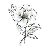 feuille camélia fleur ai généré photo