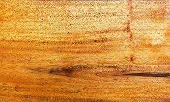 bois planche avec détail texture et modèle photo
