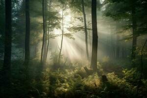 ai généré brumeux forêt à aube, avec une brumeux brouillard enveloppant le des arbres et une arbre de lumière du soleil filtration par le canopée. photo