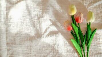 tulipe avec en tissu toile de fond blanc lin Toile froissé Naturel coton en tissu Naturel Fait main lin Haut vue Contexte biologique éco textiles blanc en tissu texture photo