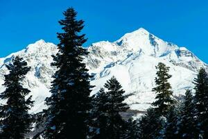 magnifique scénique vue de Caucase Montagne. le façon à Montagne avec pin forêt couvert avec neige dans hiver saison à mestia Géorgie photo