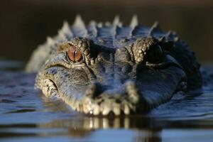 proche en haut de une crocodile chasse ses proie établi avec génératif ai technologie. photo