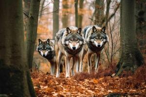 sauvage loups dans une forêt établi avec génératif ai technologie. photo