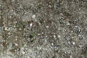 le sable et des pierres sur une gravier sol texture dans haute résolution. photo
