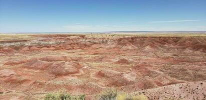 une vue de le pétrifié nation forêt photo