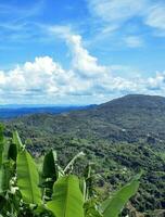 ciel et colline, colline Haut en haut dans ciel photo