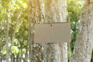 arbre tronc lequel a Vide papier carton collé sur le aboyer, concept pour environnement étude, la nature étude, appel en dehors tout gens à le respect environnement et joindre monde environnement journée campagne. photo