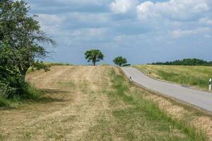 route dans le ensoleillé campagne photo