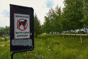 photographier signe signe chien en marchant est interdit. photo