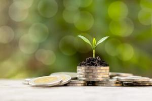 l'arbre pousse sur un tas de pièces de monnaie et un fond vert pour comprendre la croissance financière et économique. photo