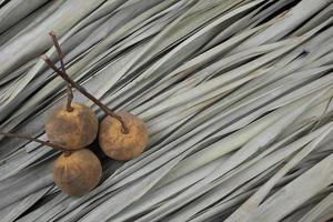 santol ou fruit de coton à plat sur des feuilles de palmier sèches motif texture de fond. tarte aux fruits comestibles saveur astringente. plante indigène de l'asie du sud-est ou de la région de malésie. photo