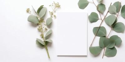 minimaliste salutation carte maquette avec délicat sec eucalyptus feuilles - Haut vue sur une nettoyer blanc arrière-plan, ai généré photo