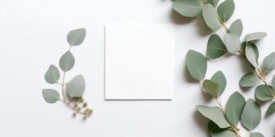 minimaliste salutation carte maquette avec délicat sec eucalyptus feuilles - Haut vue sur une nettoyer blanc arrière-plan, ai généré photo